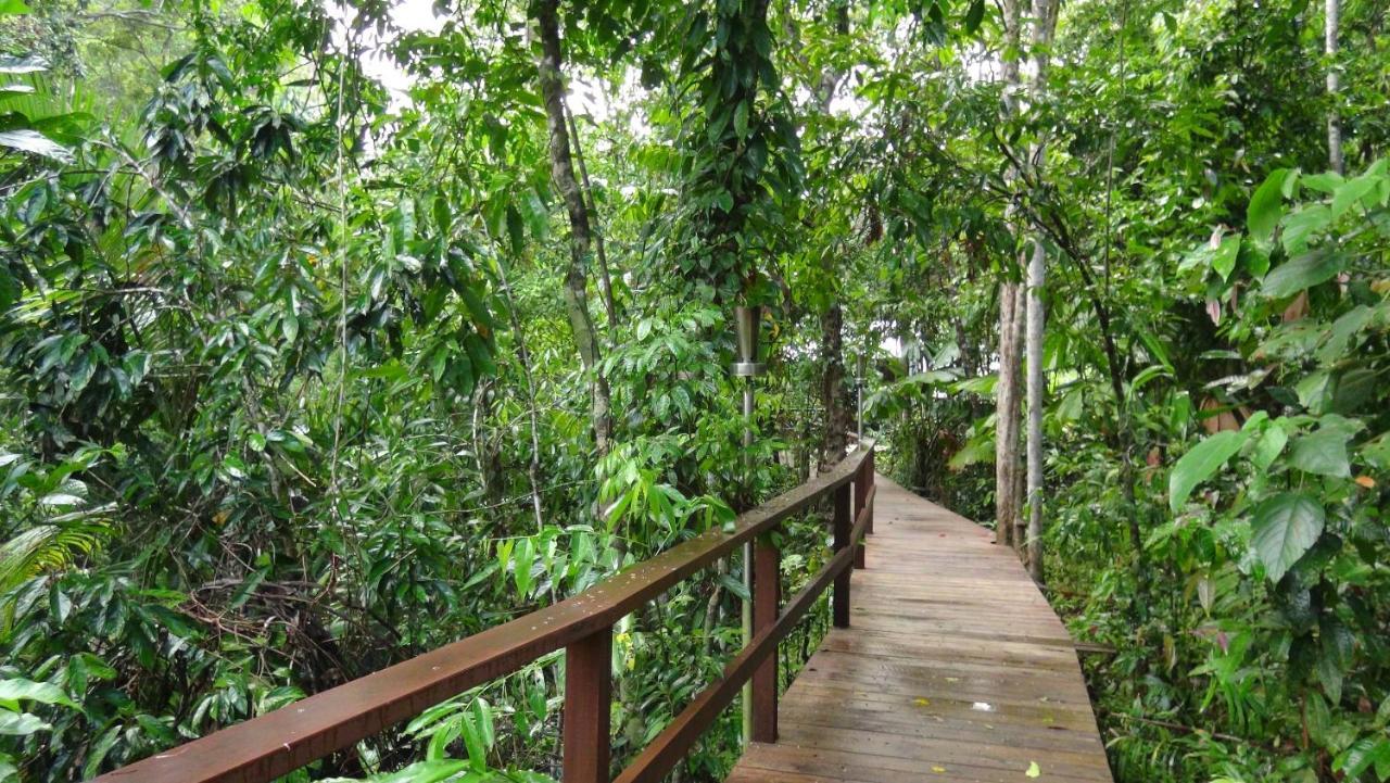 Heritage Lodge - In The Daintree Bagian luar foto