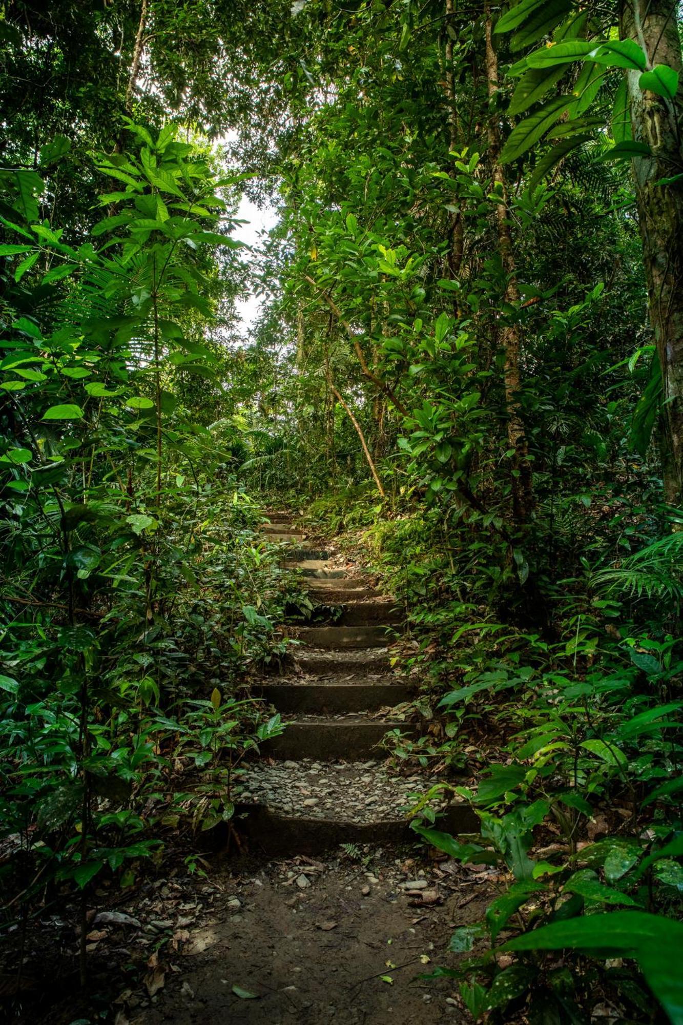 Heritage Lodge - In The Daintree Bagian luar foto