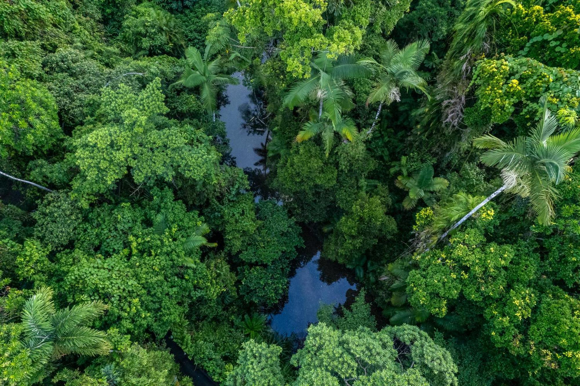 Heritage Lodge - In The Daintree Bagian luar foto