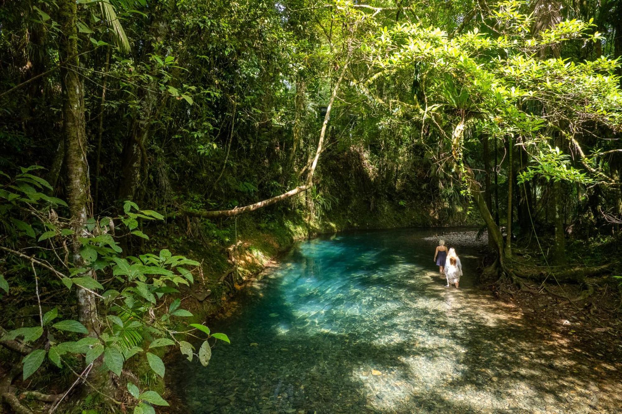 Heritage Lodge - In The Daintree Bagian luar foto