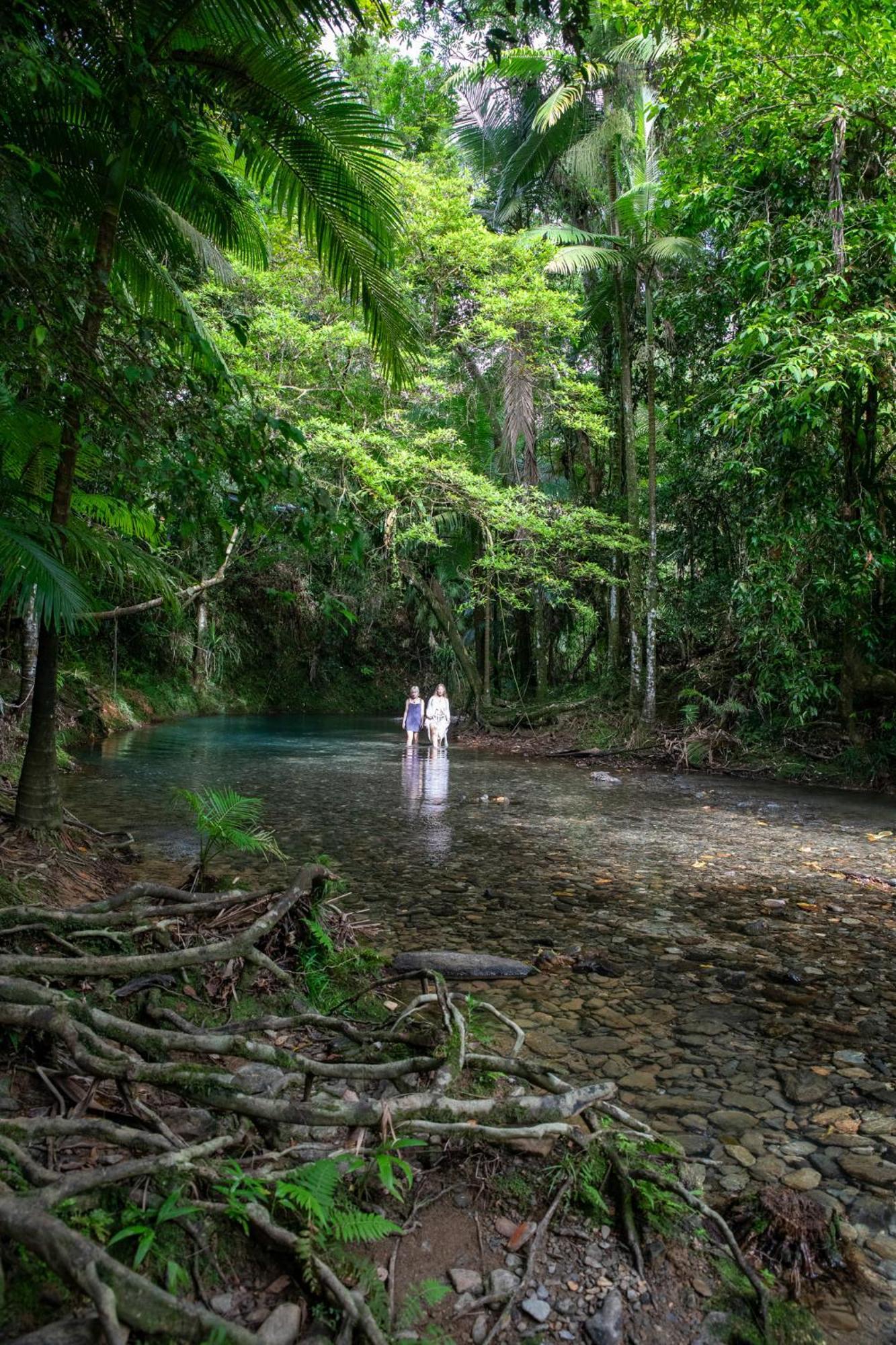 Heritage Lodge - In The Daintree Bagian luar foto