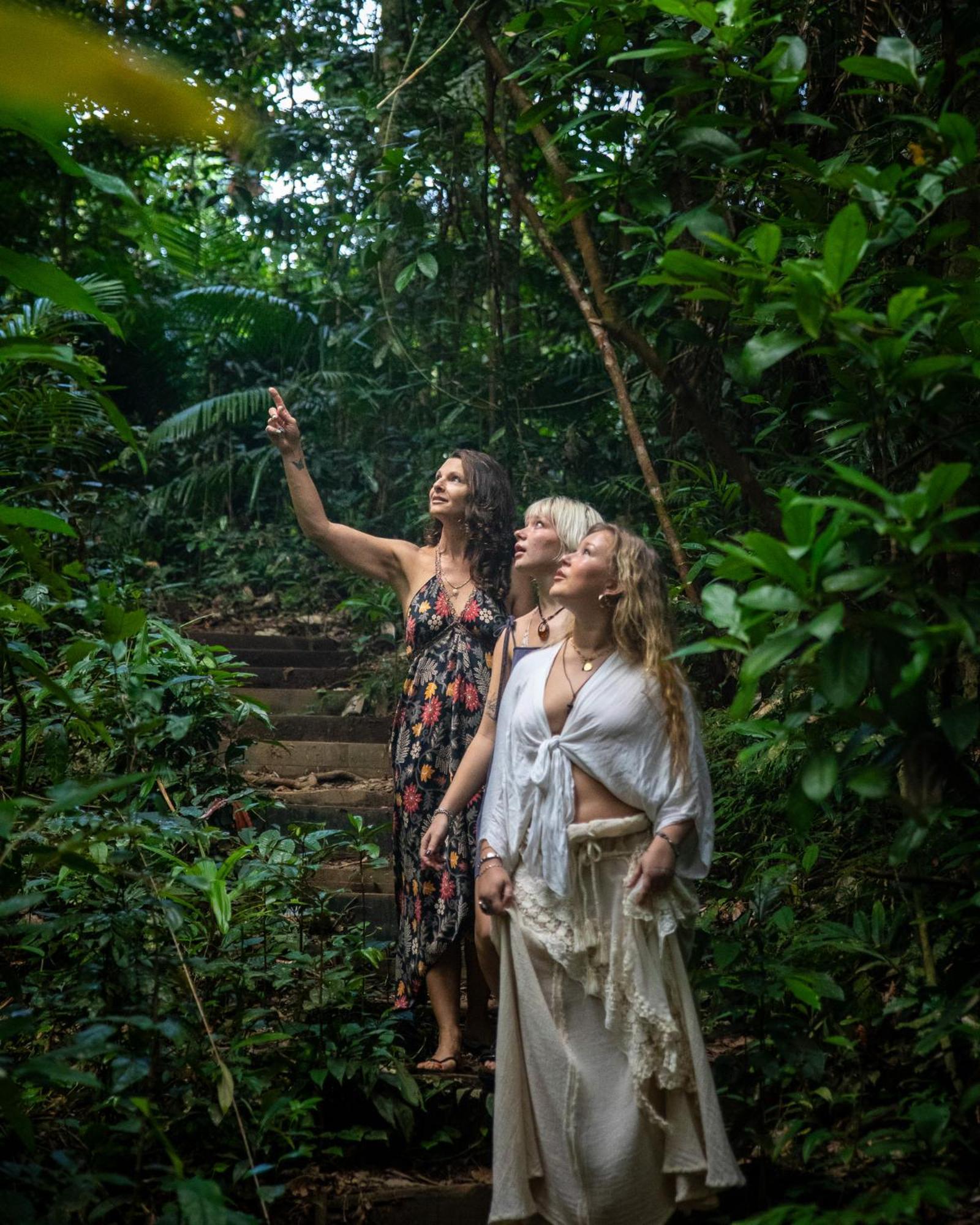 Heritage Lodge - In The Daintree Bagian luar foto