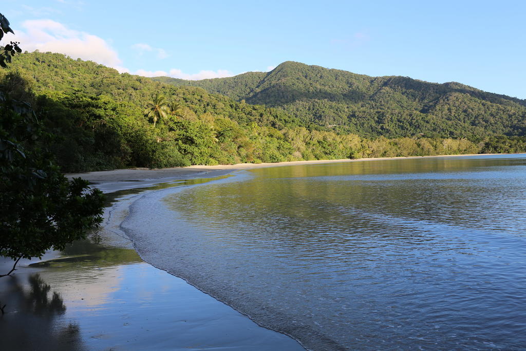 Heritage Lodge - In The Daintree Bagian luar foto